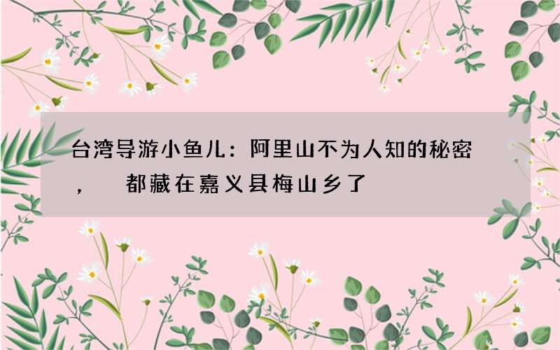 台湾导游小鱼儿：阿里山不为人知的秘密，都藏在嘉义县梅山乡了
